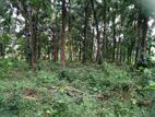 River Bordering 2 Acres Land for Sale at Naranbedde, Kegalle.