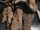 River Driftwood
