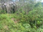 River Faced Land for Sale in Mawanella