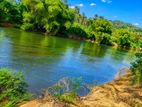River front land For Sale in Giriulla (SSPL-507)