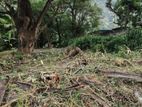 River Front Land for Sale in Kandy