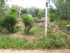 River Side Land for sale in Gurudeniya