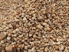 River Stone / දොළගල්