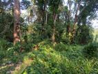 Riverfront Land for Sale in Giriulla