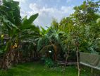 Riverfront Land for Sale in Kahapola, Piliyandala (LA4781)