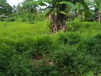(RL133) 16.0 perch Bare Land for Sale in Boralesgamuwa