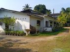 (RL201) 160 P Land with House for Sale in Panadura