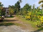 (RL201) 160 P Land With House For Sale in Panadura (Land Value Only)