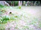 (RL215) 20 Perch Land For Sale in Kaluthara