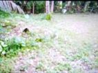 (RL215) 20 Perch Land For Sale in Kaluthara