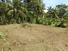 (RL270) 10 Perch Land For Sale in Panadura