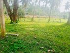 (RL272) 560 Perch Land For Sale in Horana
