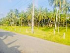 (RL272) 560 Perch Land for Sale in Horana