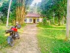 (RL272) 560 Perch Land for Sale in Horana