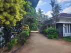 (RL293) 43 P Land With House For Sale in Mount Lavinia
