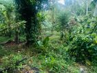 (RL296) 21 Perch Land For Sale in Pokunuwita