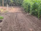 (RL309) 15.8 Perch Land For Sale in Wadduwa