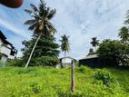 (RL433) 12 Perch Land For Sale in Panadura