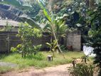 (RL442) 6 Perch Land For Sale in Waskaduwa