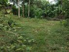 (RL460G) 80 Perch Land For Sale in Horana