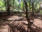 (RL464G) 15 Perch Land For Sale in Kahatuduwa