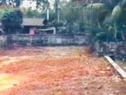 (RL475) 41 Perch Land For Sale in Horana