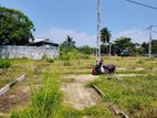 (RL528) 12 perch Land for Sale in Panadura