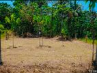 (RL529) 10 perch Land for Sale in Panadura