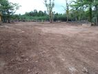 (RL530) 102perch Land for Sale in Panadura