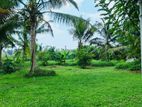 (RL543) 80 Perch Bare Land for Sale in Bandaragama
