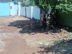 (RL553) 20 Perch Land for Sale in Panadura