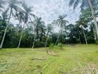 (RL558) 190 Perch Land for Sale in Bandaragama
