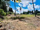 (RL569) 40 Perch Land for Sale in Dodangoda