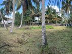 (RL607) 116 Perch Land for Sale in Horana