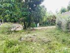(RL627) 24.5 Perch Land for Sale in Kaduwela