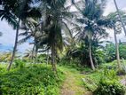 (RL636) 47 Perch Land for Sale in Kalubowila