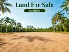 (RL642) 197 Perch Land with House for Sale in Wadduwa