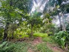 (RL646) 197 Perch Land for Sale in Wadduwa