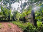 (RL646) 197 Perch Land for Sale in Wadduwa