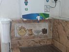 RO Water Filter