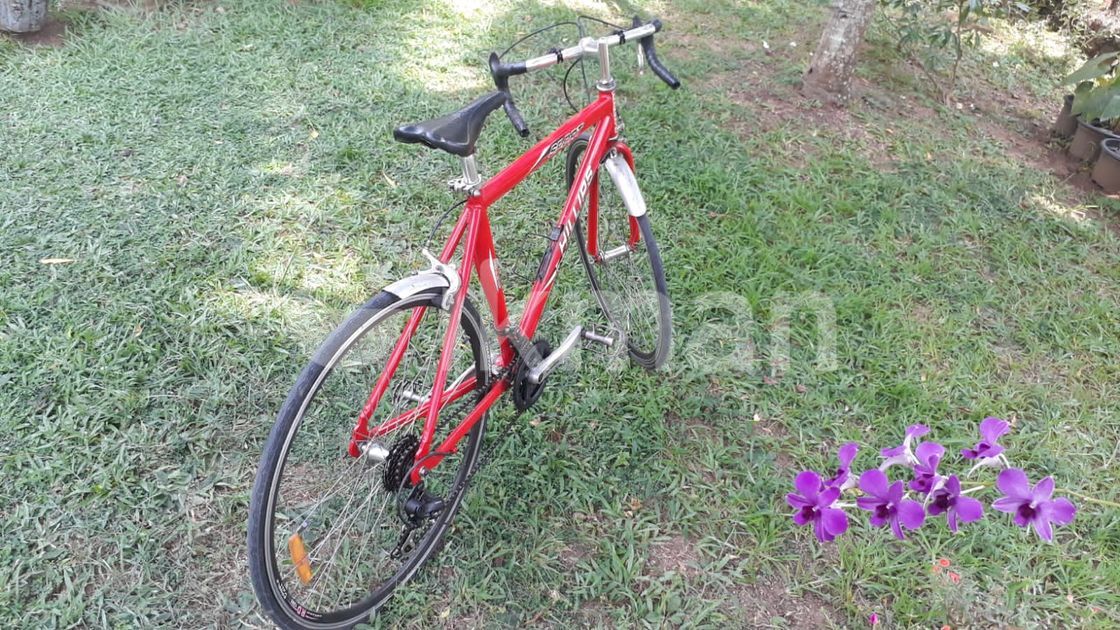 Road Bike Alloy frame Bicycle in Mawathagama ikman