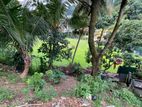 Road Facing Commercial Land for sale in Kandy City Limit (TPS2030)