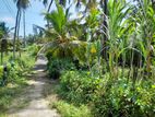 Road Facing Land for Sale in Tangalle - PDL55