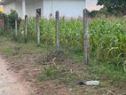 Land for Sale Kinniya