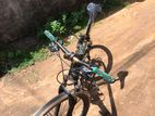 Roadeo Bicycle