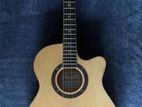 Robinson Guitar