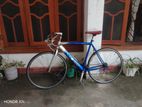Rocky Bicycle