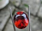 Rodolight garnet 10 ct Gem