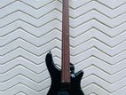 Rogue Fretless Bass Guitar