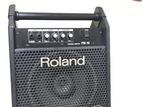 Roland Monitor Pm-10